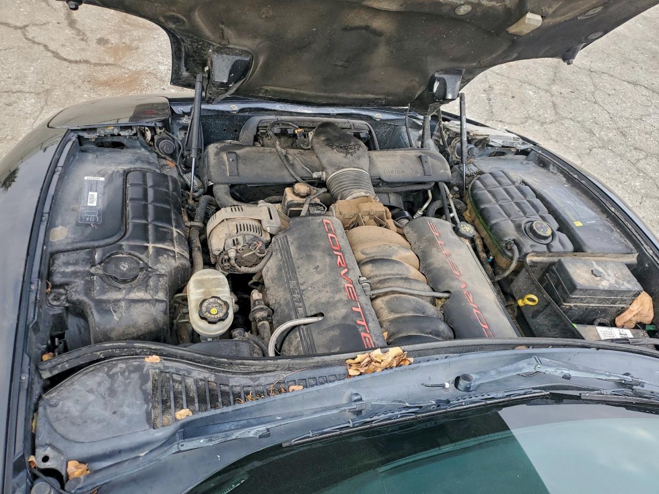 1999 CHEVROLET CORVETTE photo 11