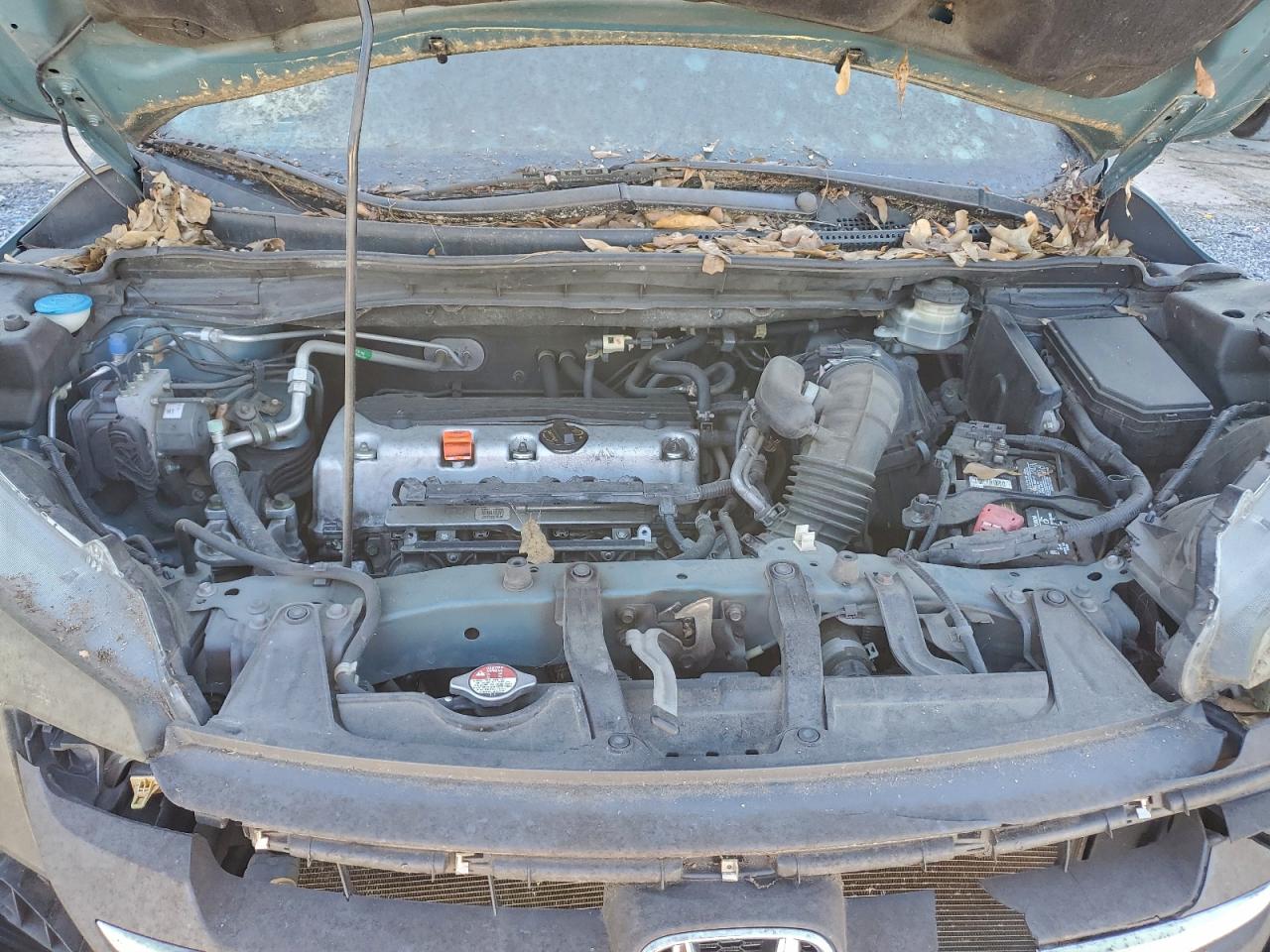2014 HONDA CR-V LX photo 11