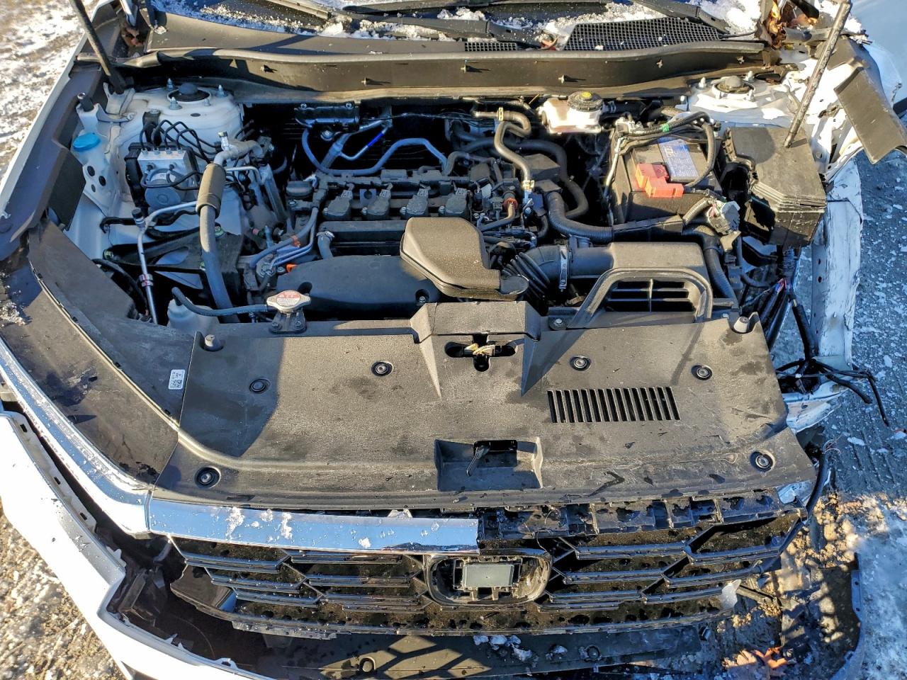 2025 HONDA CR-V EXL photo 12