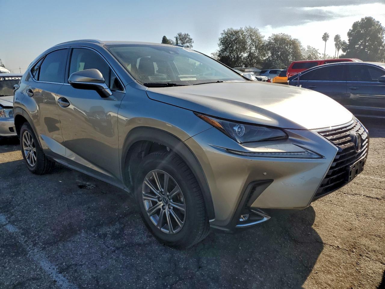 2020 LEXUS NX 300H photo 4