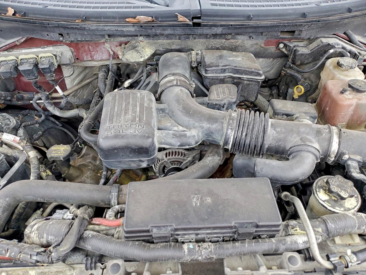 2010 FORD F150 SUPERCREW photo 11