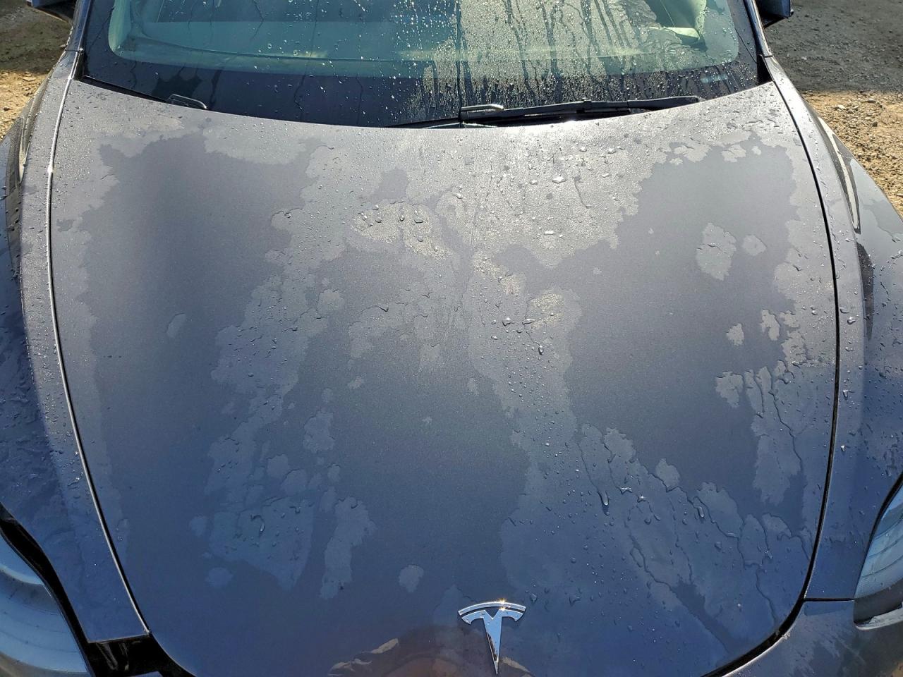2022 TESLA MODEL 3 photo 11