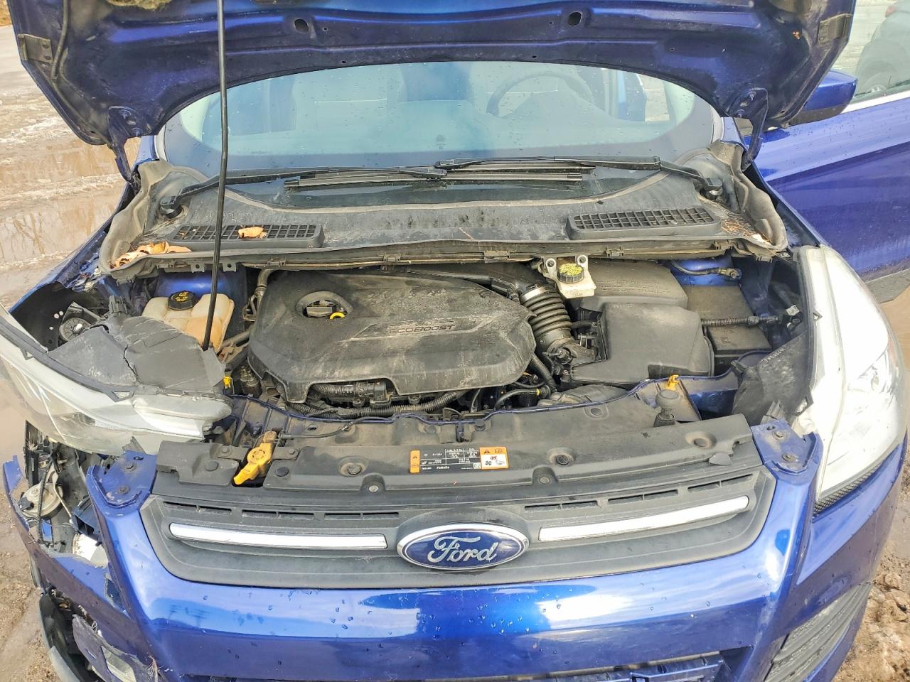 2014 FORD ESCAPE SE photo 21
