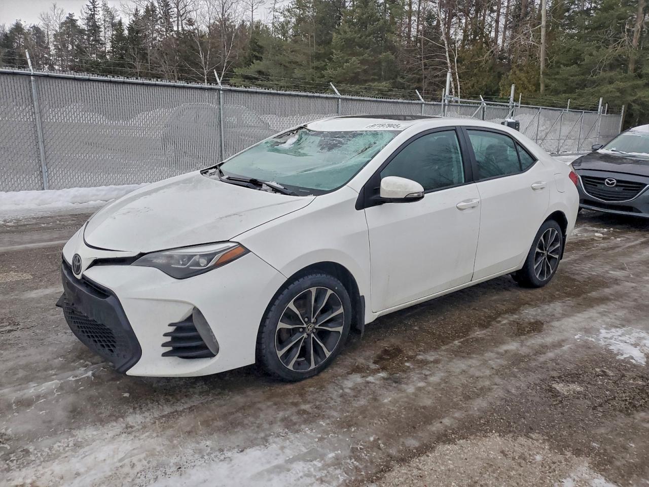 2019 TOYOTA COROLLA