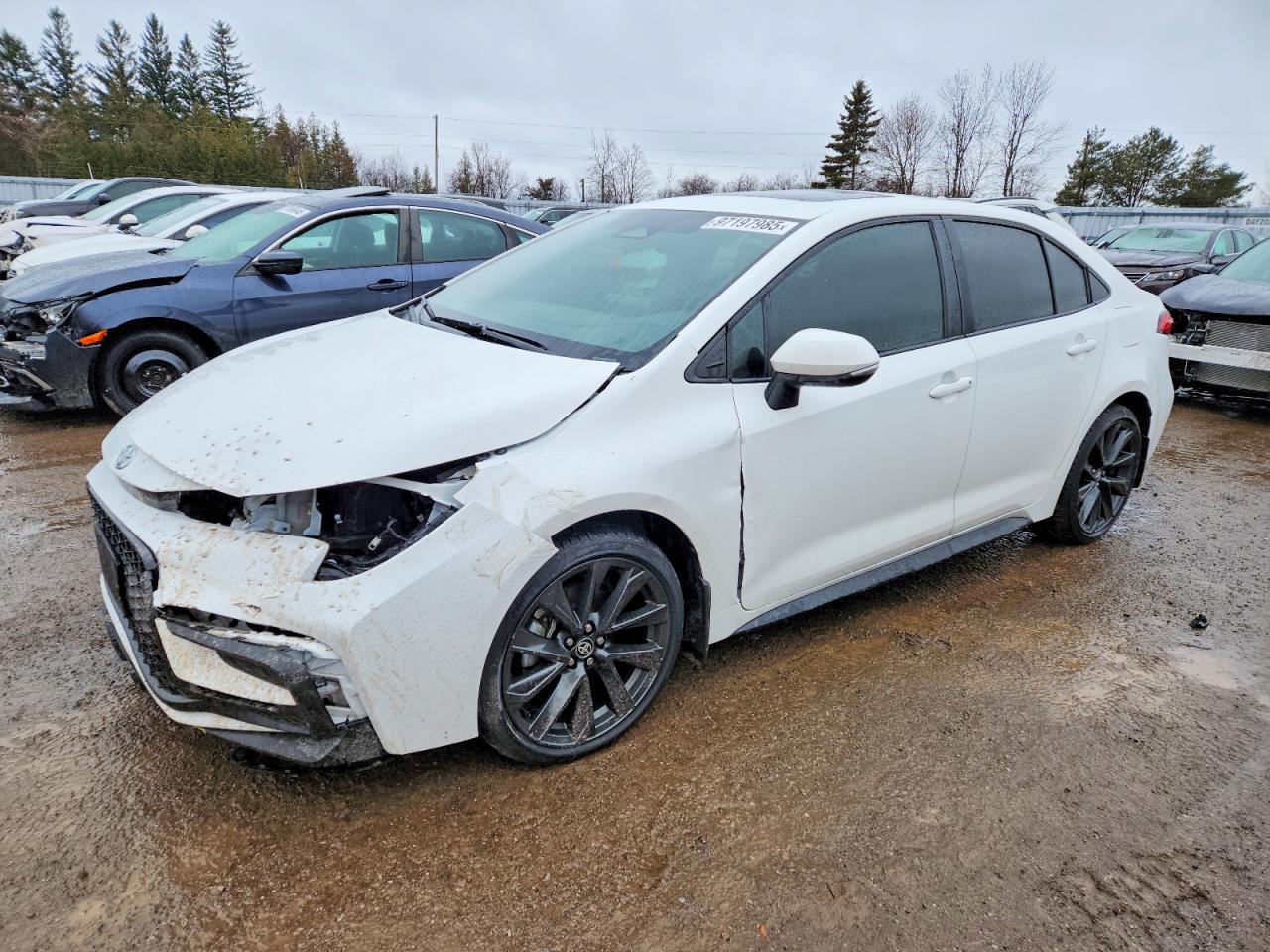 2024 TOYOTA COROLLA