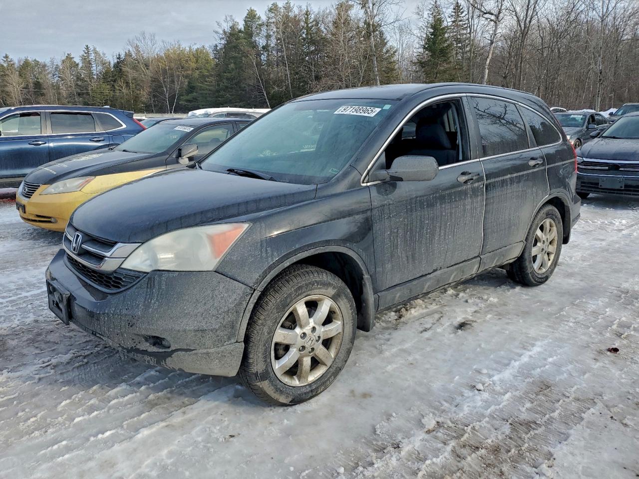 2010 HONDA CR-V