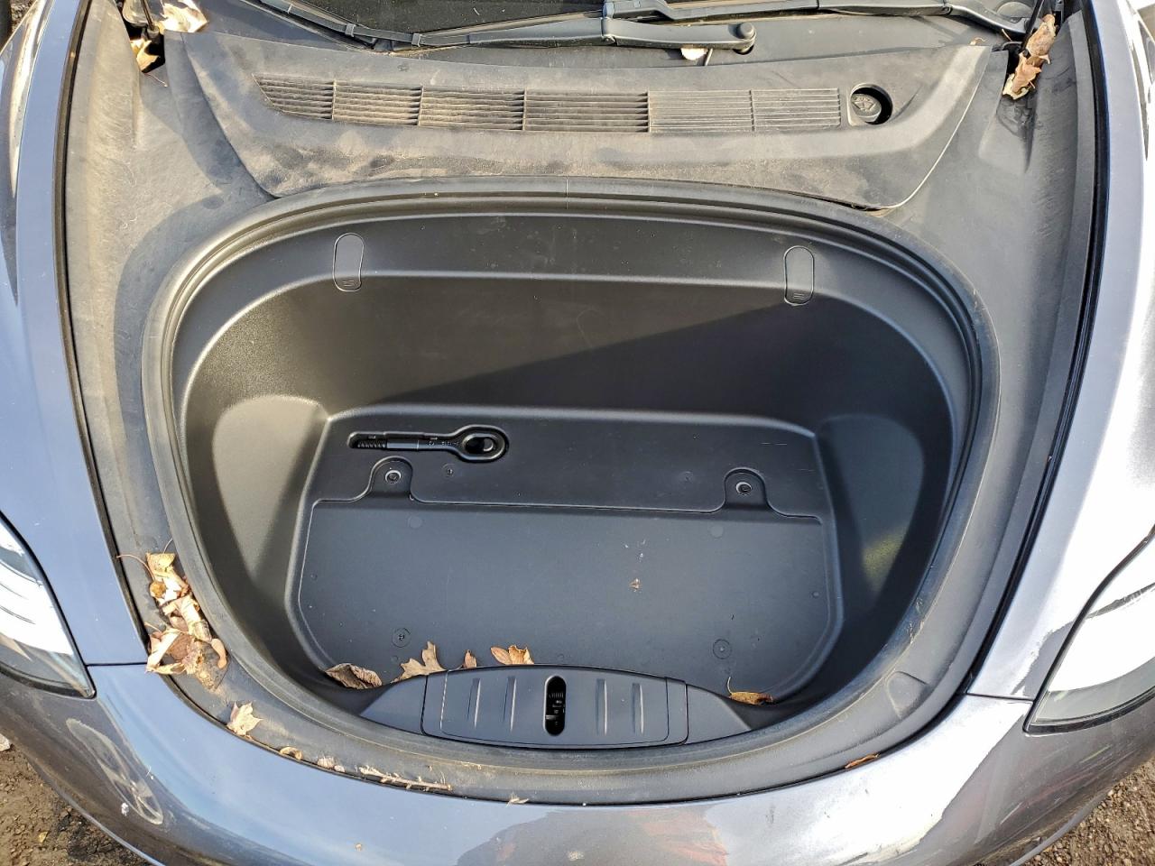 2019 TESLA MODEL 3 photo 11
