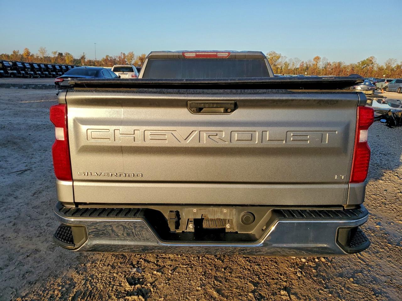 2020 CHEVROLET SILVERADO C1500 LT photo 6