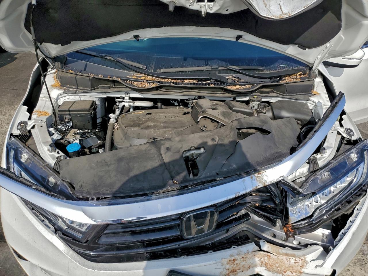2023 HONDA ODYSSEY TOURING photo 12