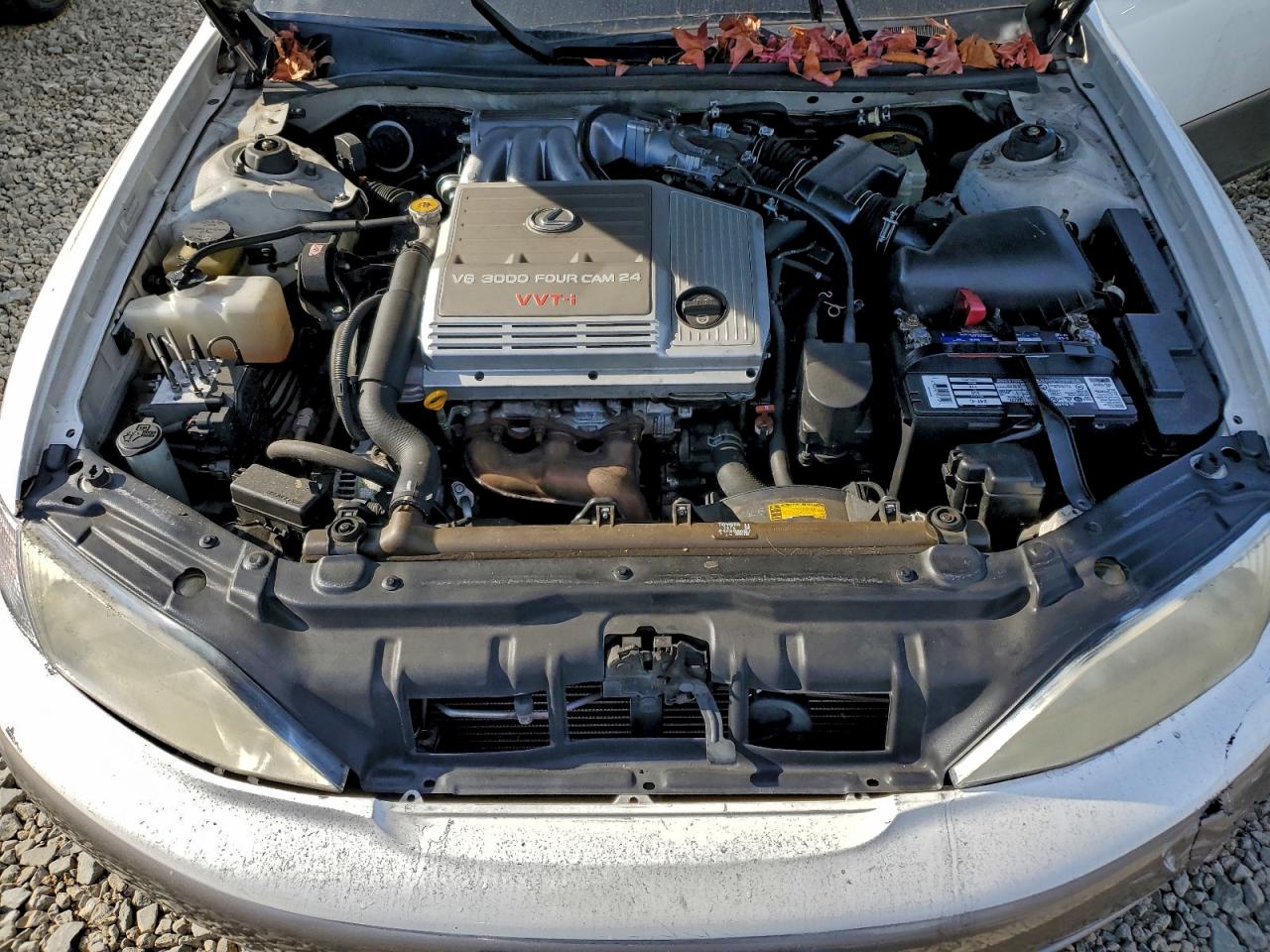 1999 LEXUS ES 300 photo 11