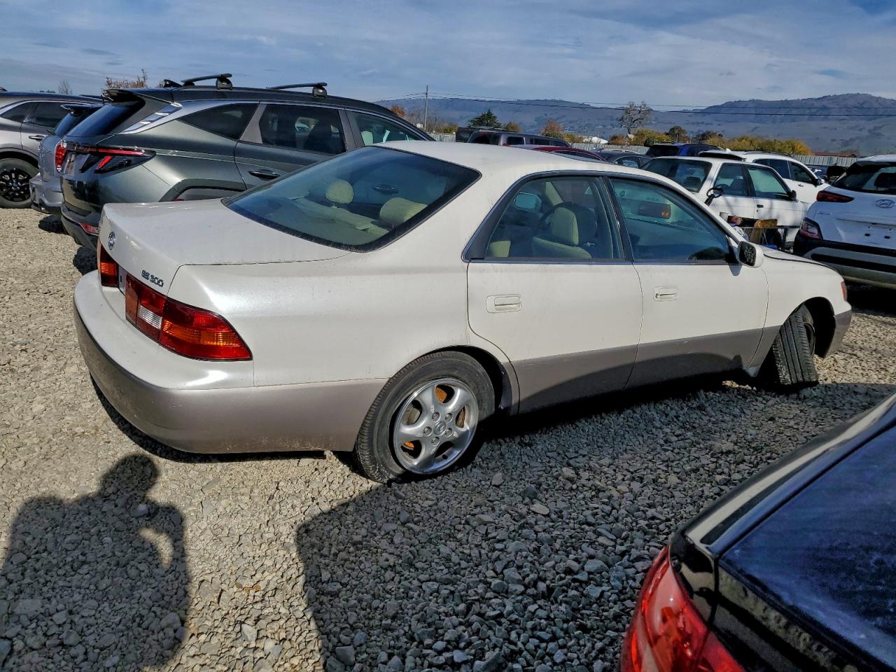 1999 LEXUS ES 300 photo 3