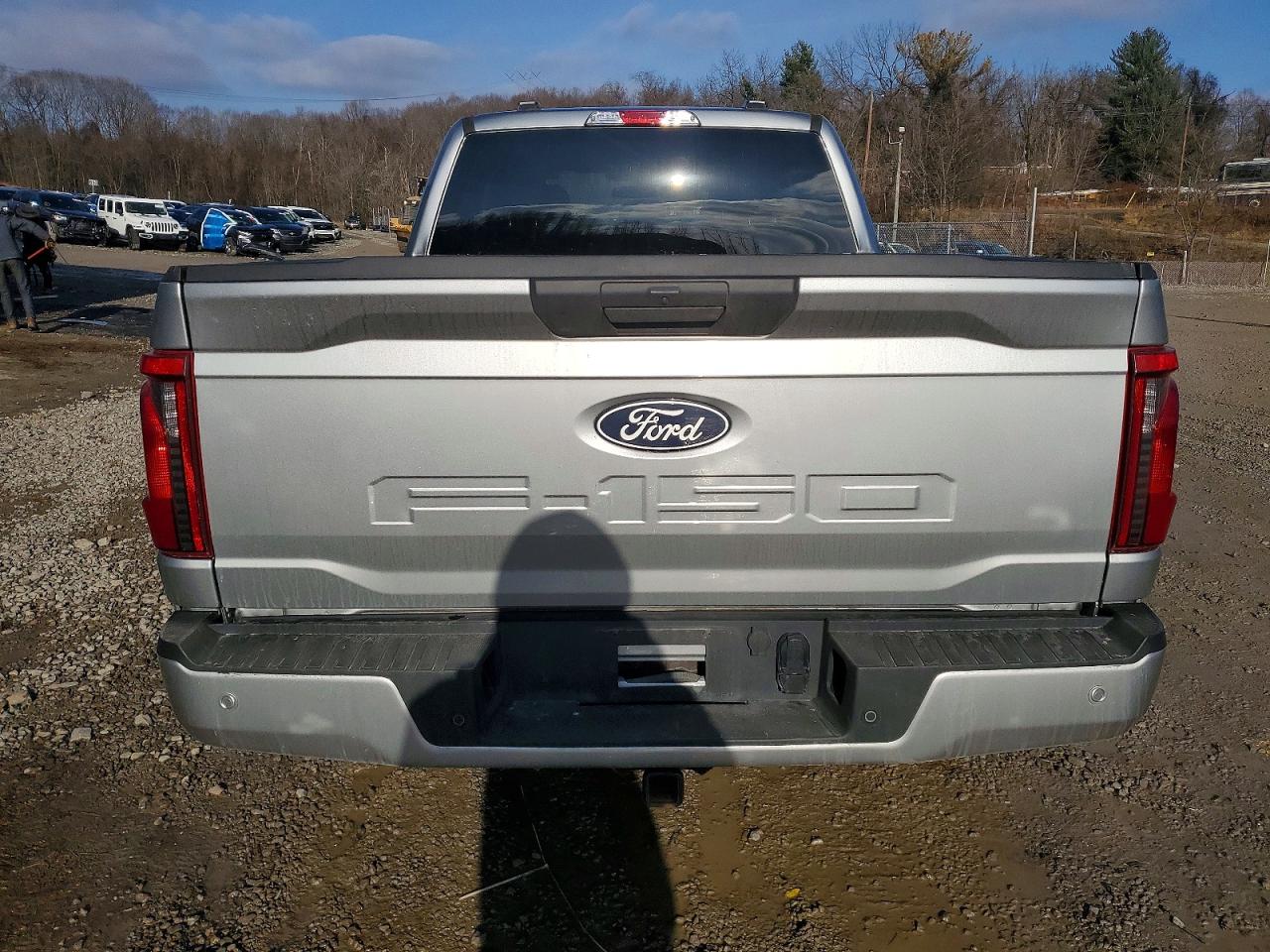 2024 FORD F150 photo 11
