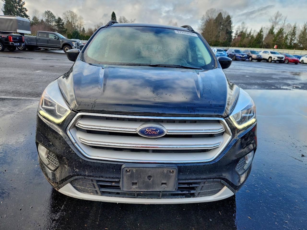 2019 FORD ESCAPE SEL photo 5