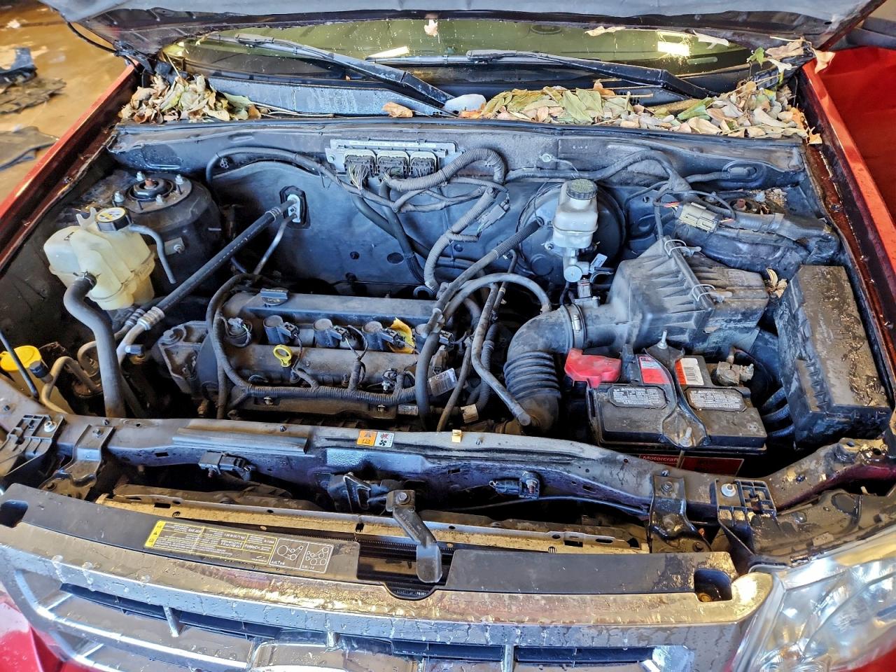 2012 FORD ESCAPE XLT photo 12