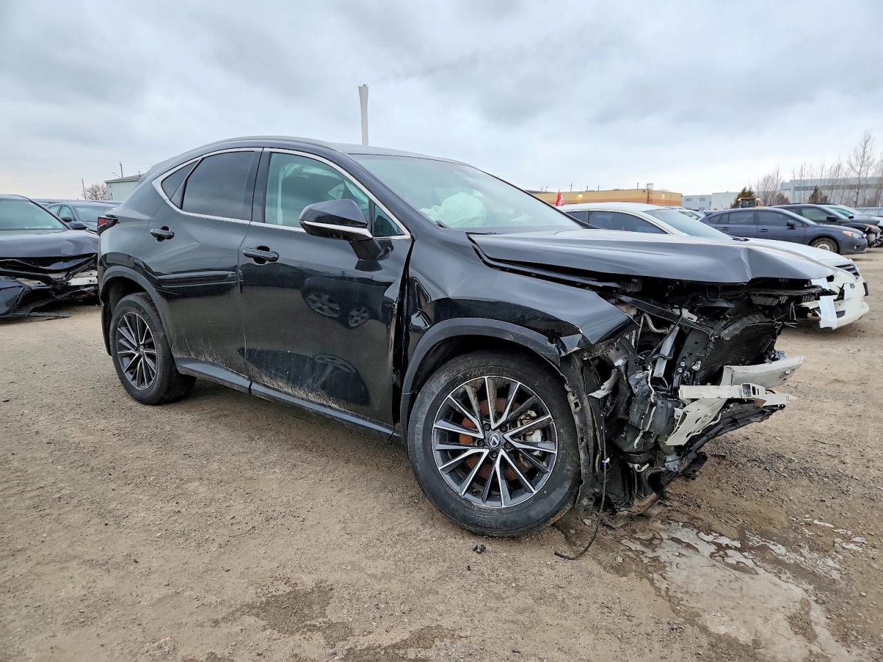 2025 LEXUS NX 250 BASE photo 4