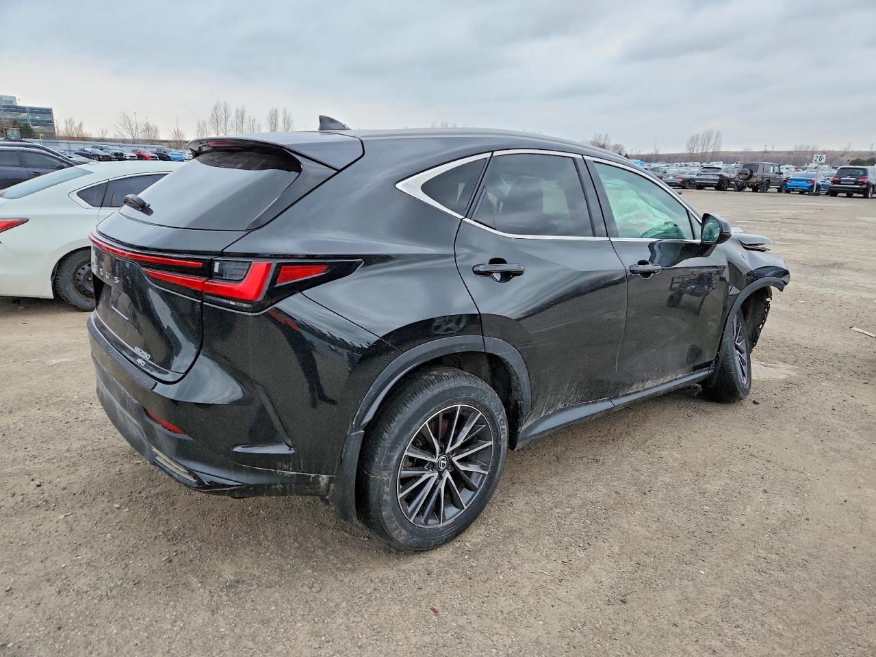 2025 LEXUS NX 250 BASE photo 3
