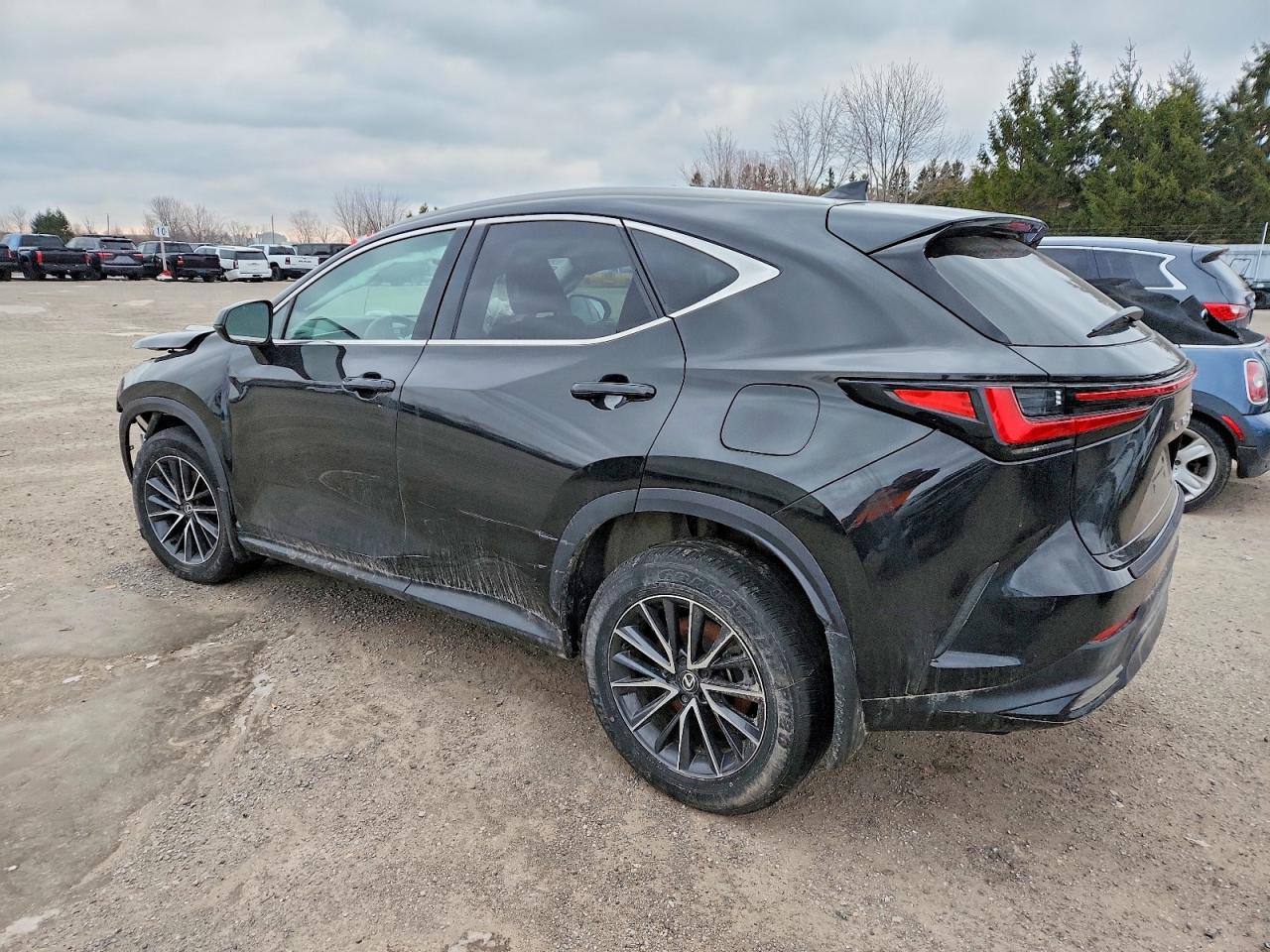 2025 LEXUS NX 250 BASE photo 2