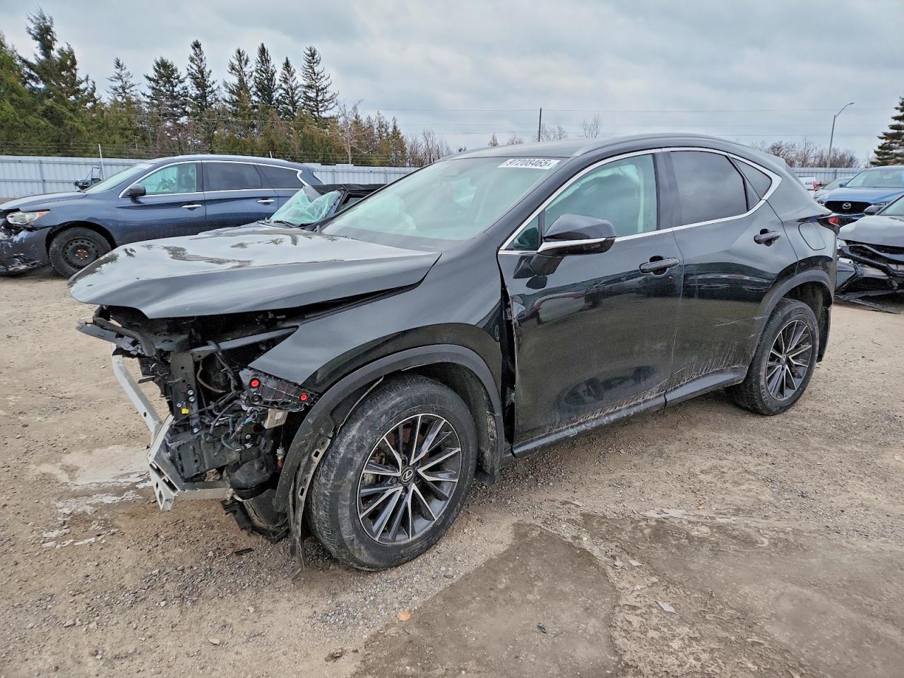 2025 LEXUS NX