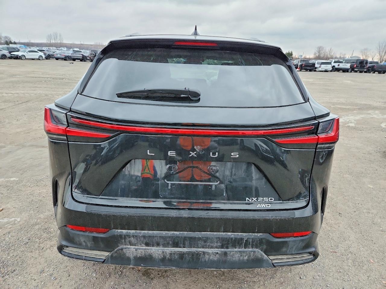 2025 LEXUS NX 250 BASE photo 6