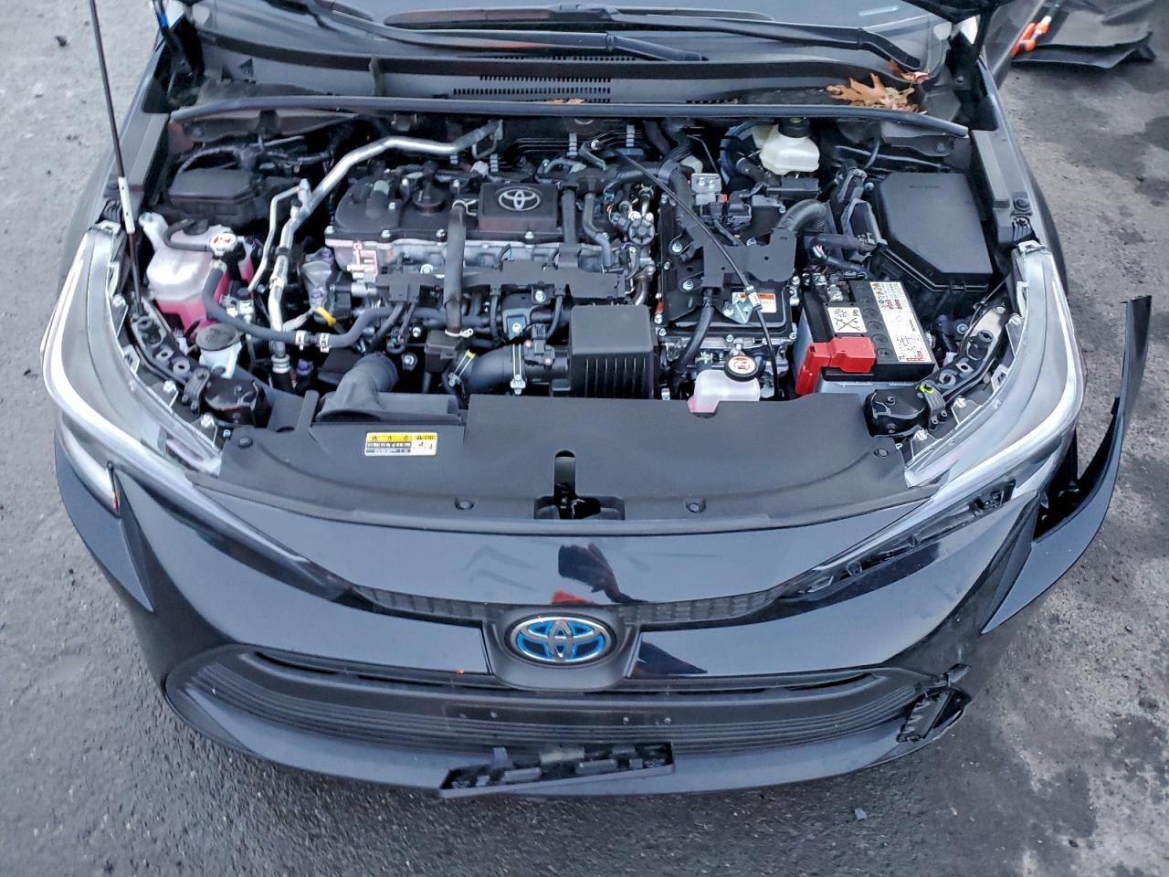 2025 TOYOTA COROLLA LE photo 11