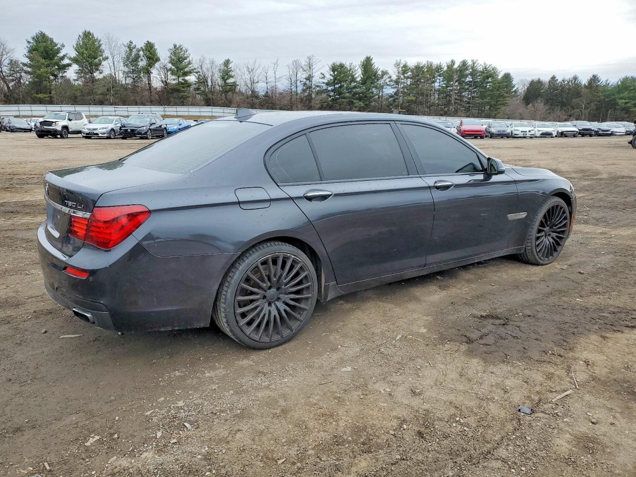 2013 BMW 750 LI photo 7