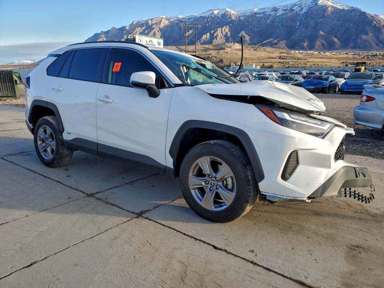 2024 TOYOTA RAV4 XLE photo 4
