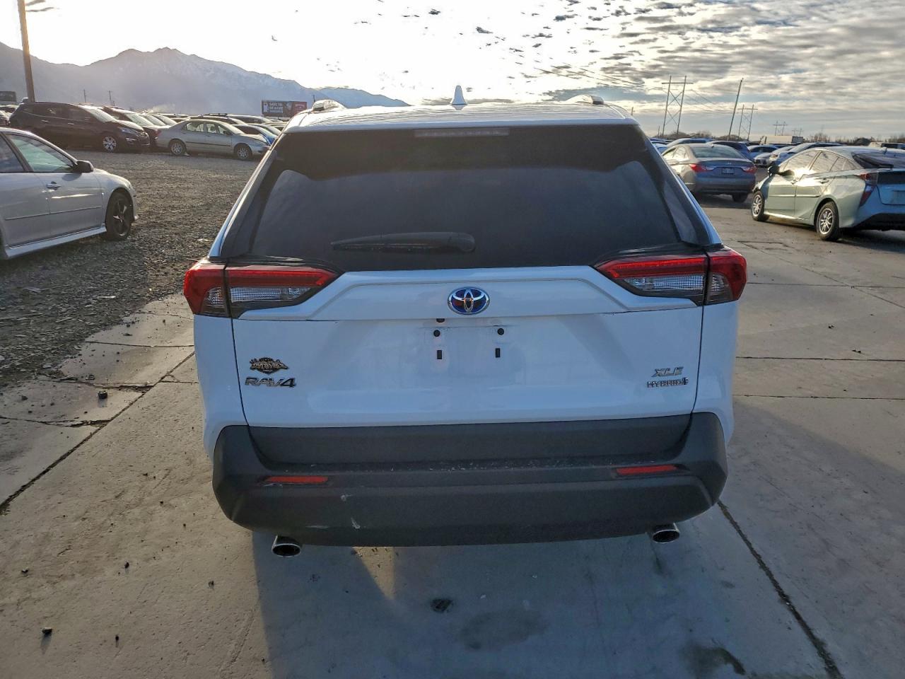 2024 TOYOTA RAV4 XLE photo 6