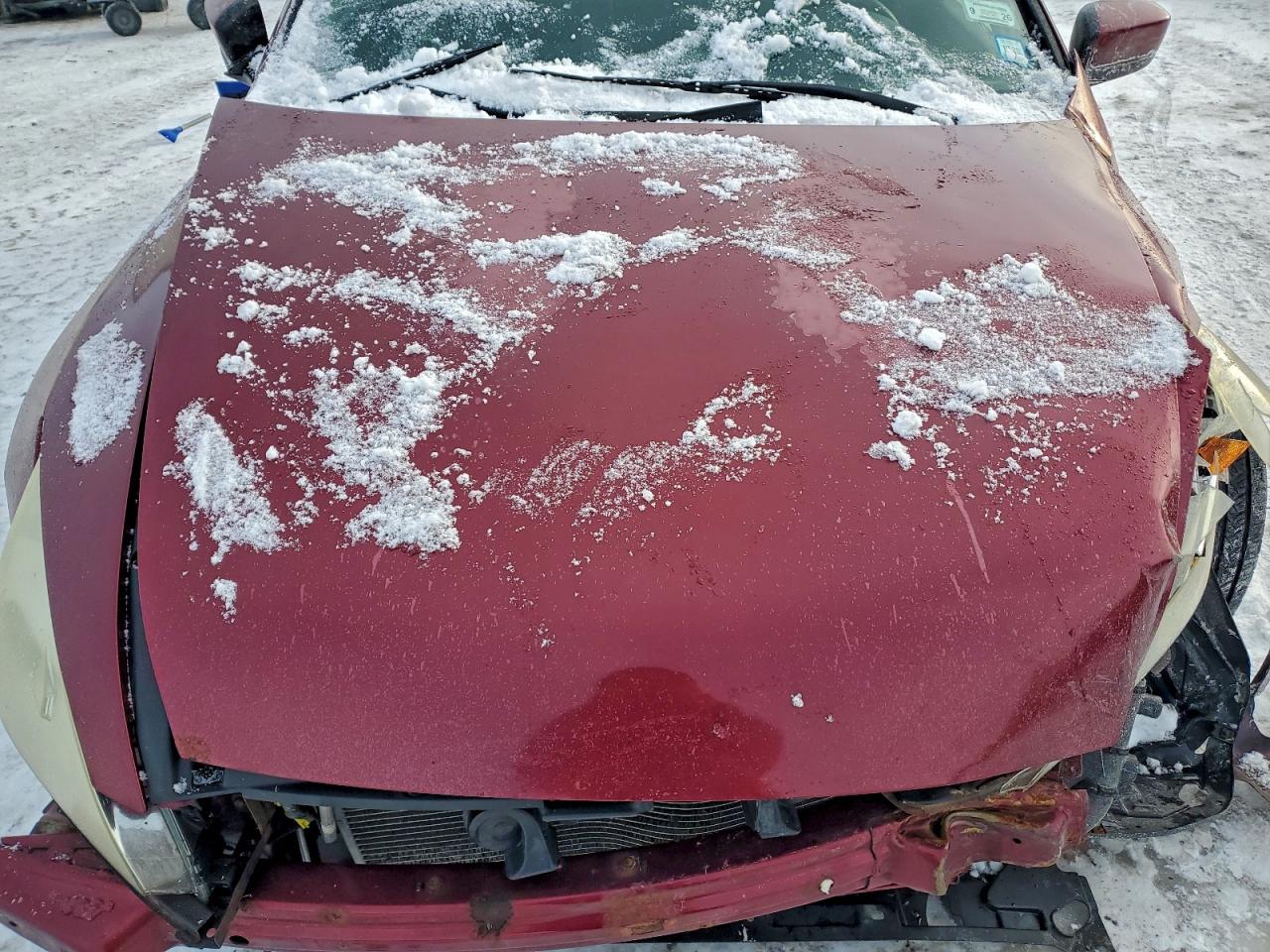 2004 HONDA ACCORD EX photo 11