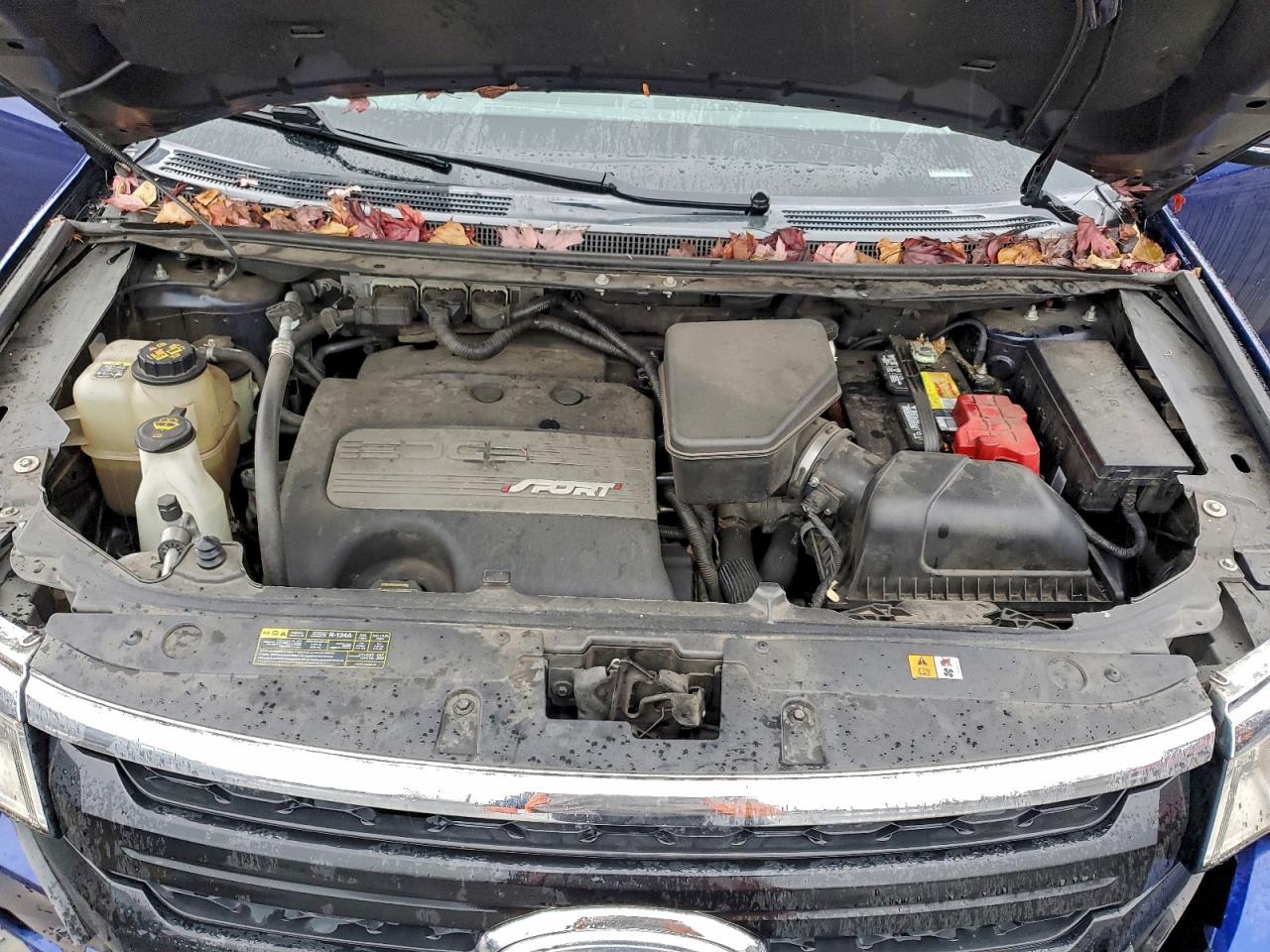 2013 FORD EDGE SPORT photo 12