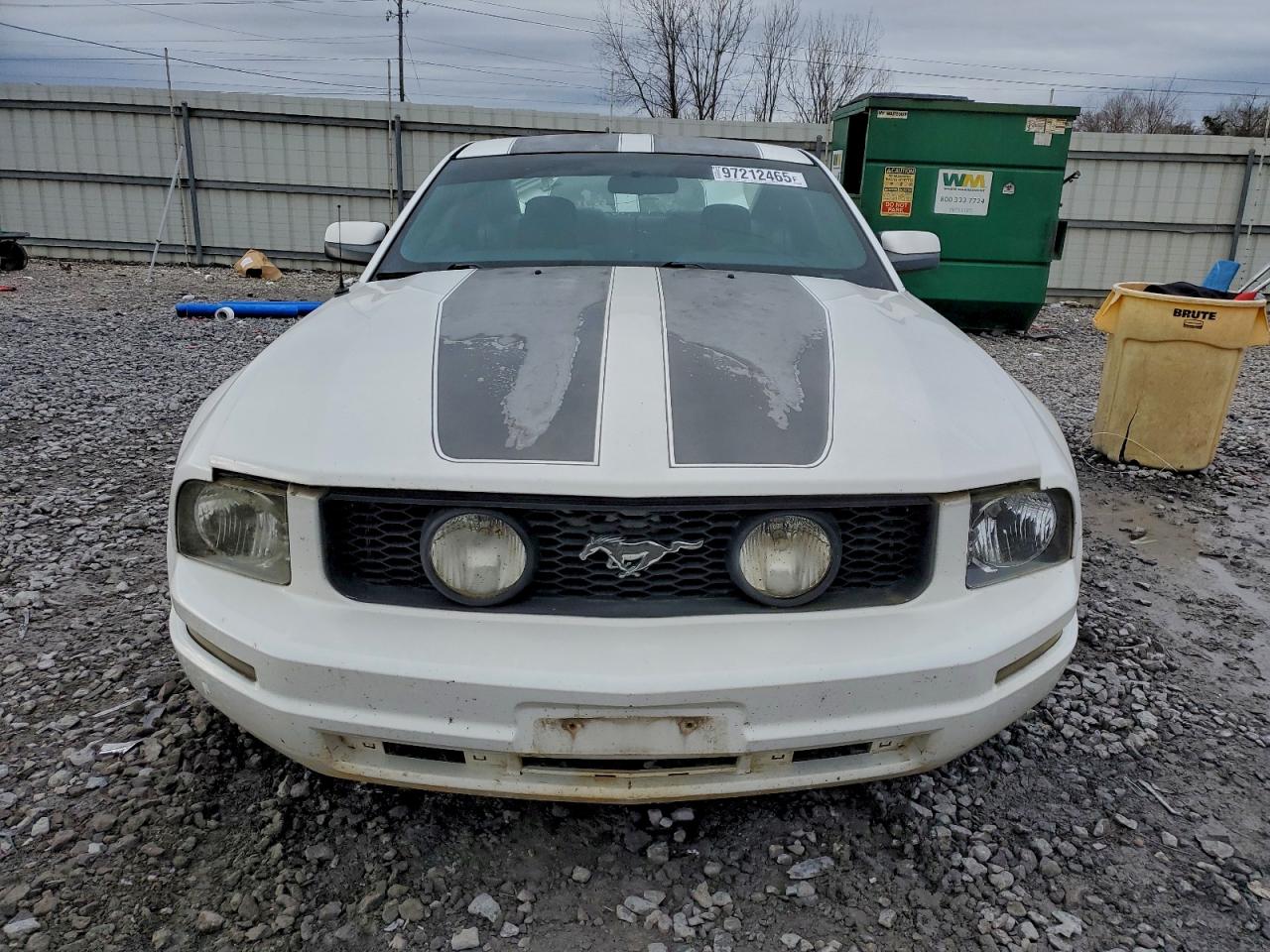 2005 FORD MUSTANG photo 9