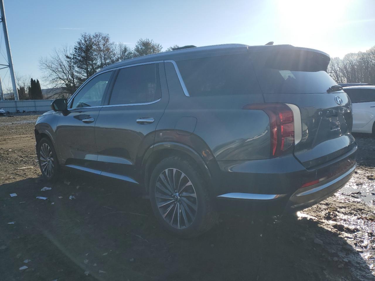 2024 HYUNDAI PALISADE CALLIGRAPHY photo 2