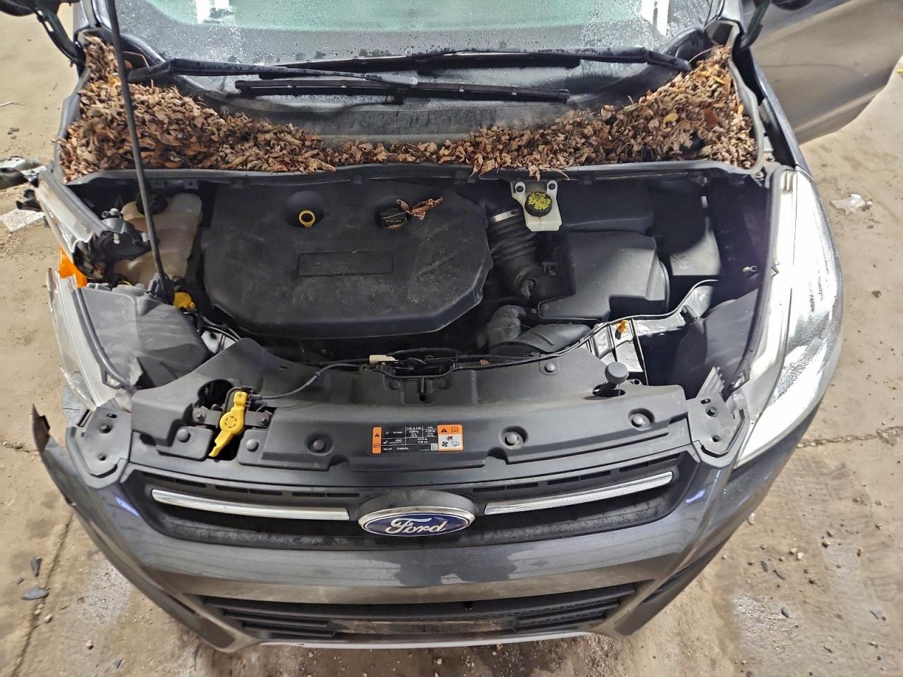 2015 FORD ESCAPE SE photo 12