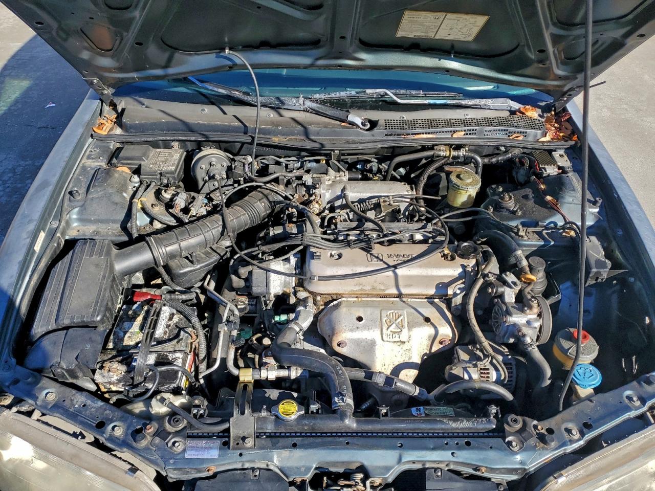 1996 HONDA ACCORD LX photo 11