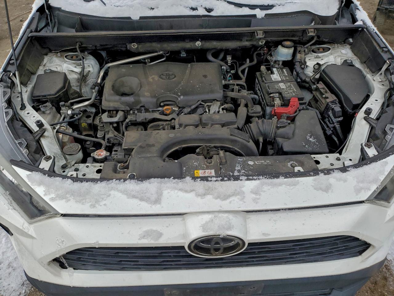 2019 TOYOTA RAV4 LE photo 23
