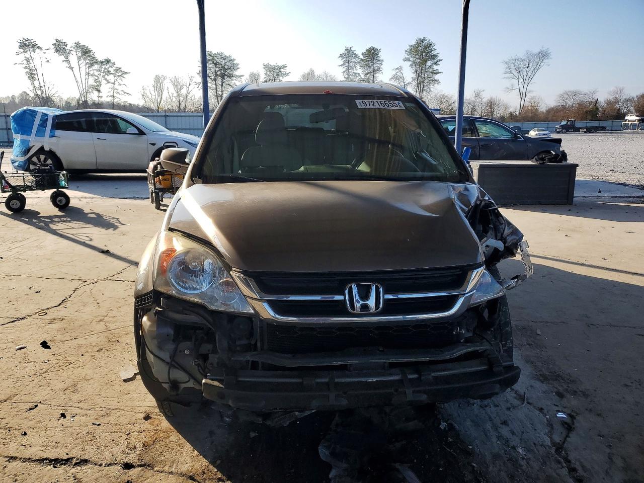 2011 HONDA CR-V EXL photo 5