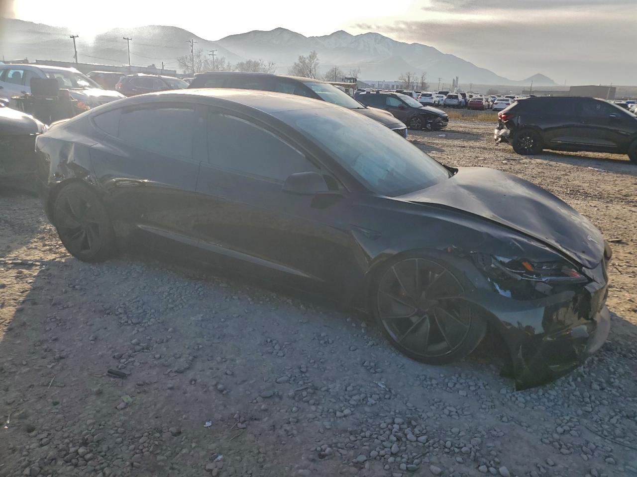 2024 TESLA MODEL 3 photo 4