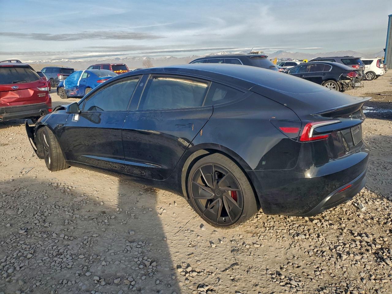 2024 TESLA MODEL 3 photo 2