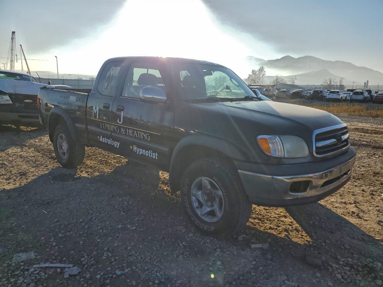 2002 TOYOTA TUNDRA ACCESS CAB photo 10