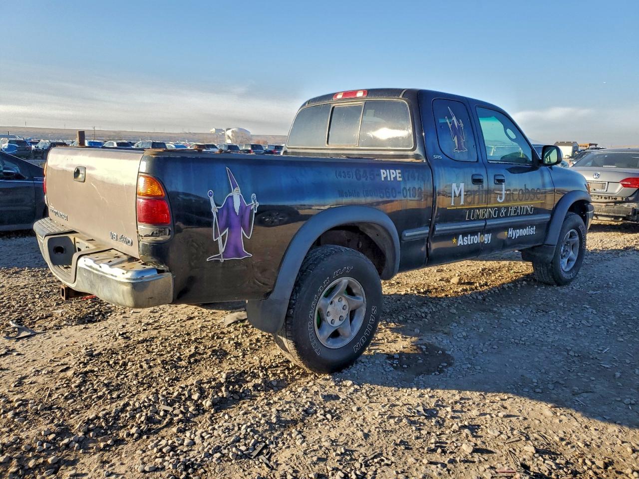 2002 TOYOTA TUNDRA ACCESS CAB photo 7
