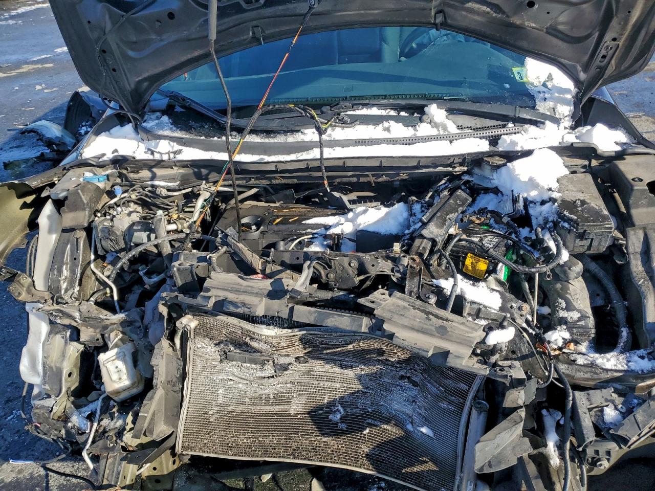 2015 HONDA CR-V EX photo 11