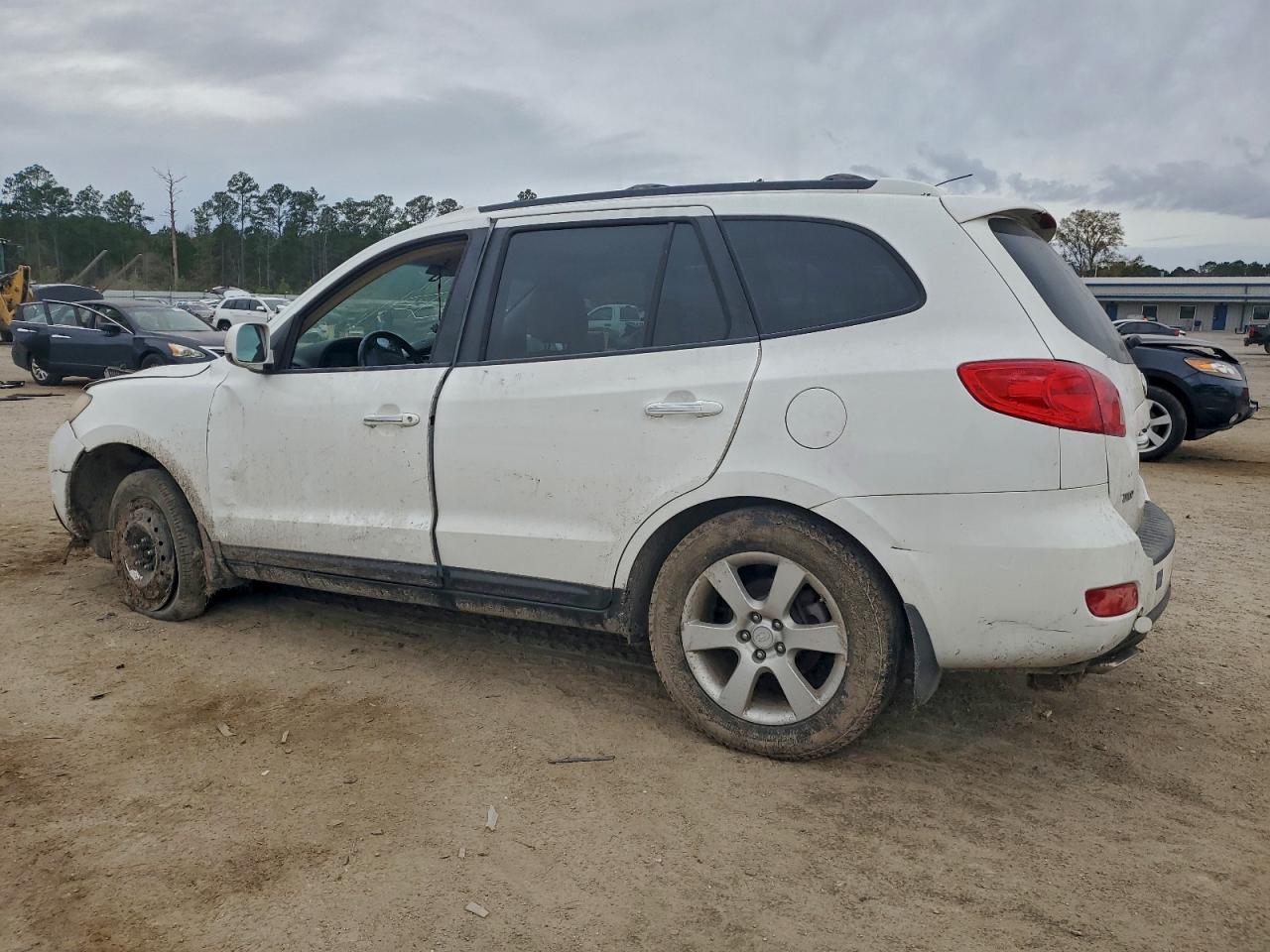 2007 HYUNDAI SANTA FE SE photo 3