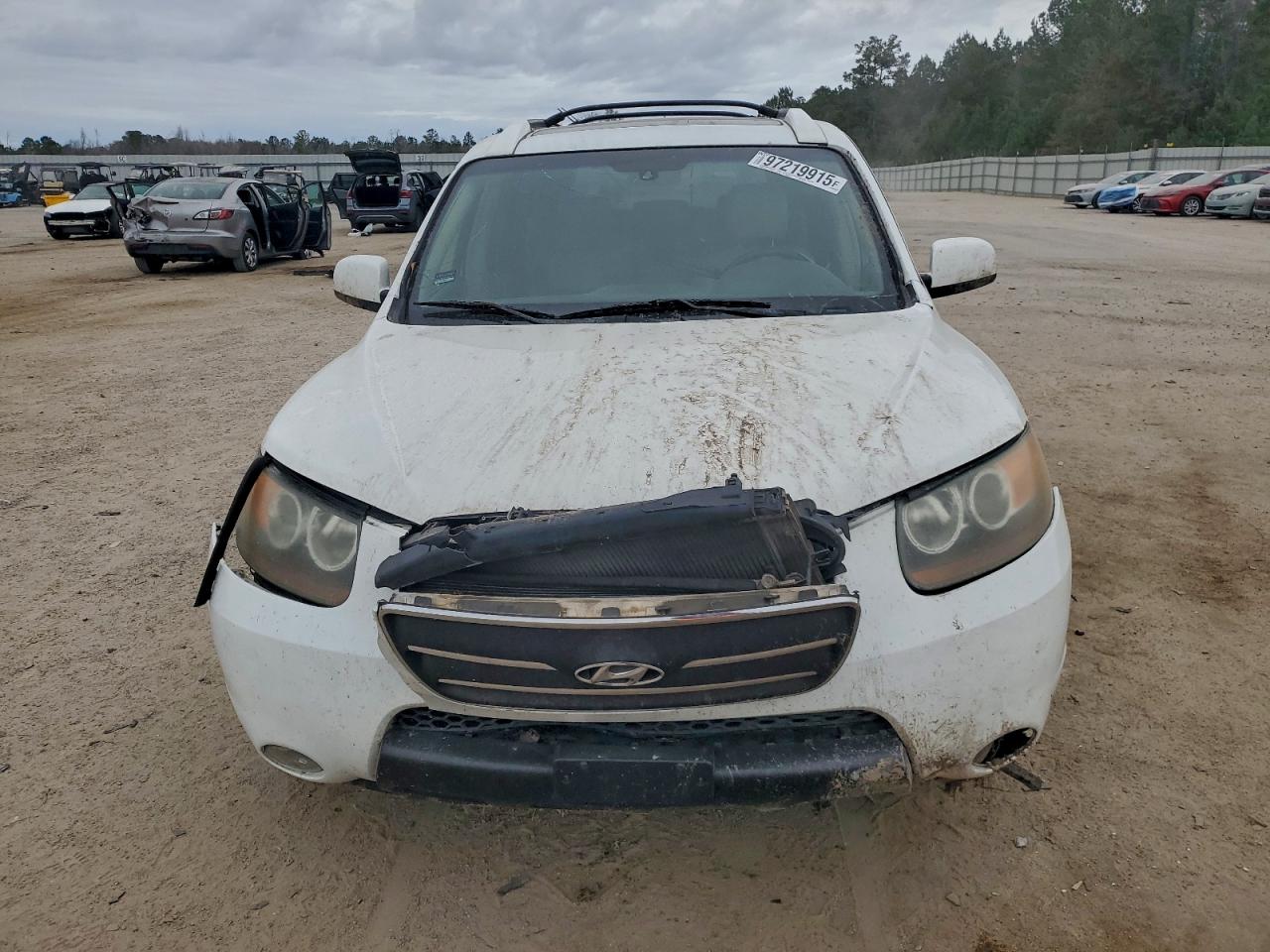 2007 HYUNDAI SANTA FE SE photo 9