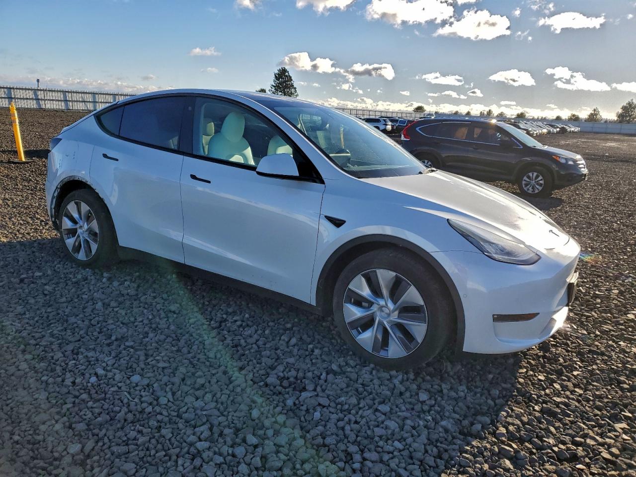 2021 TESLA MODEL Y photo 4