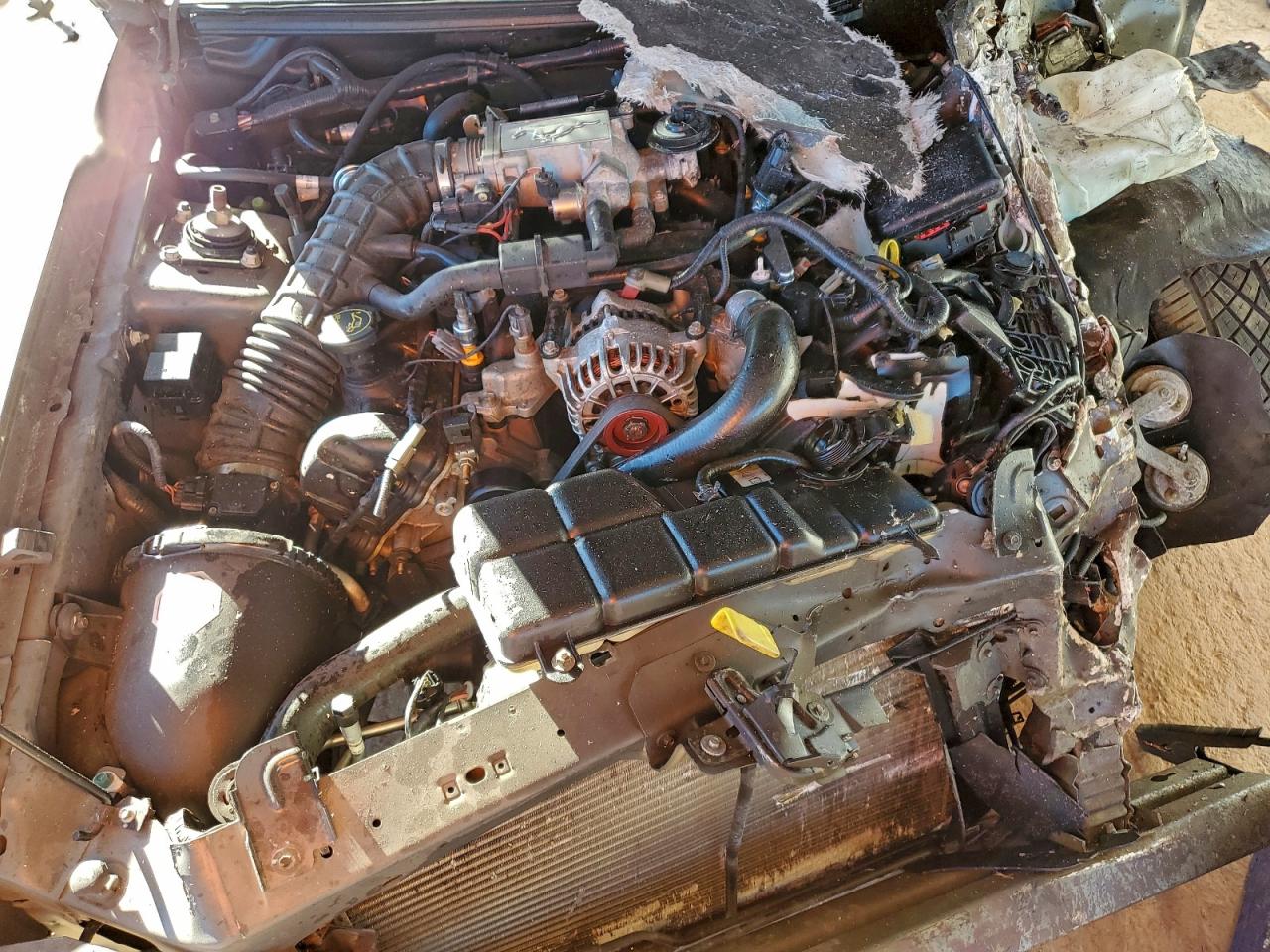 2002 FORD MUSTANG GT photo 11