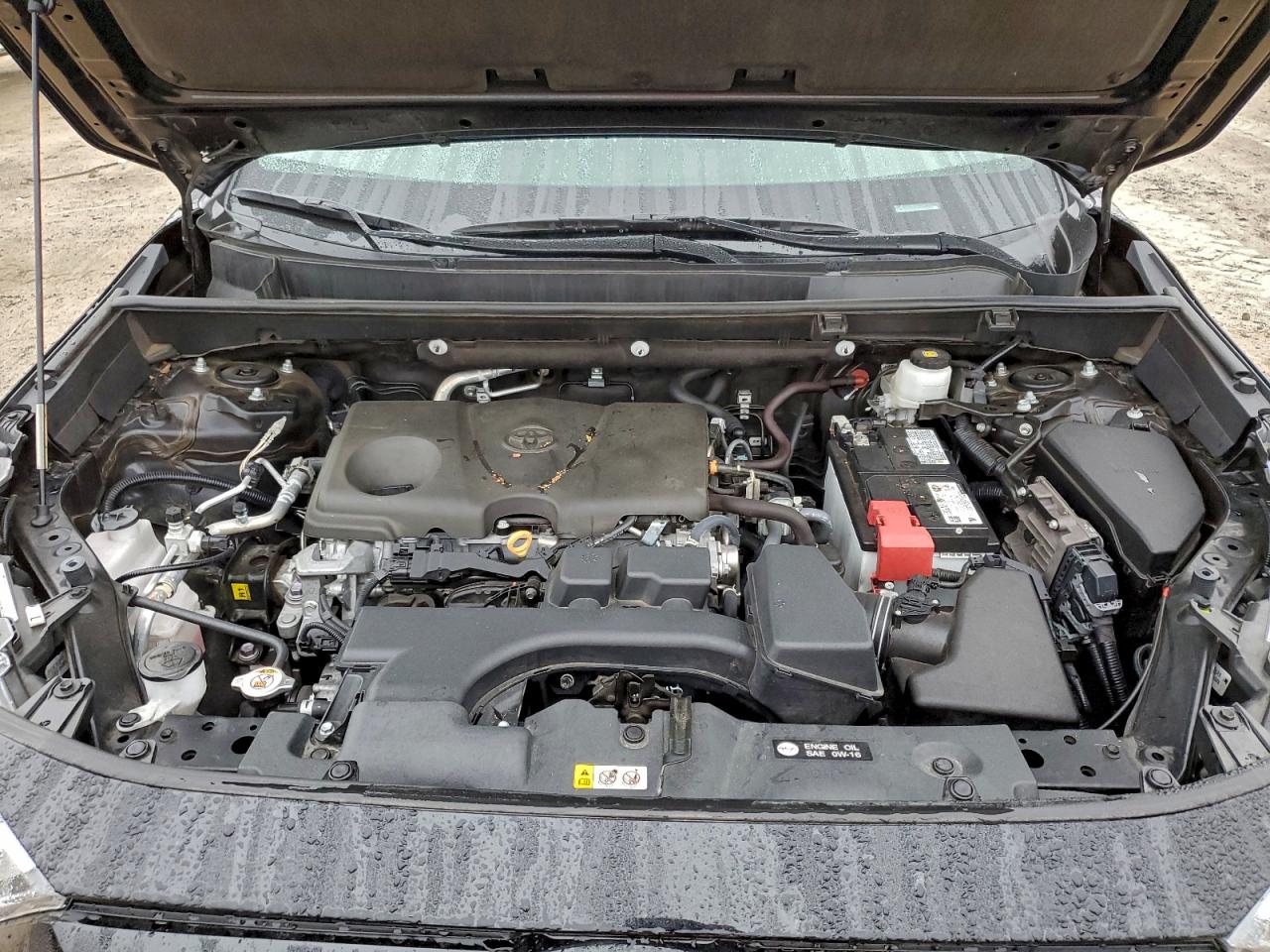 2024 TOYOTA RAV4 XLE photo 34