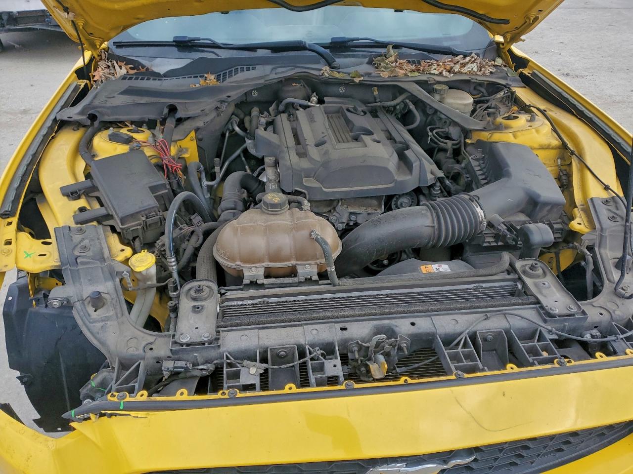 2015 FORD MUSTANG photo 31