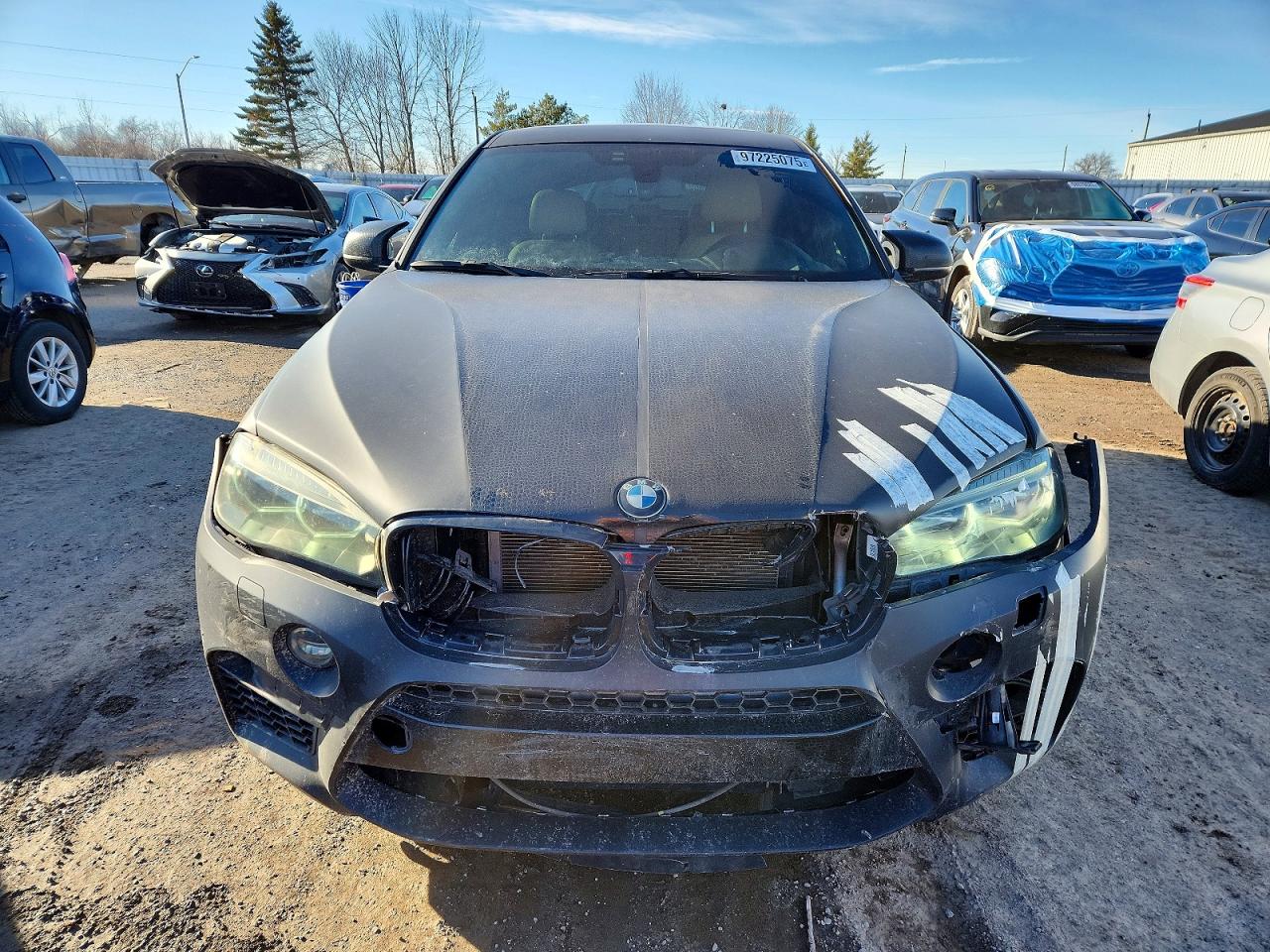 2016 BMW X6 M photo 5
