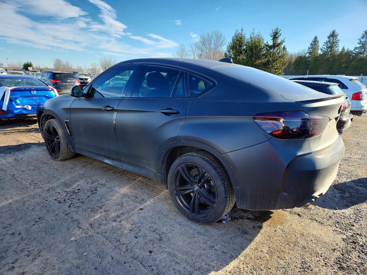 2016 BMW X6 M photo 2