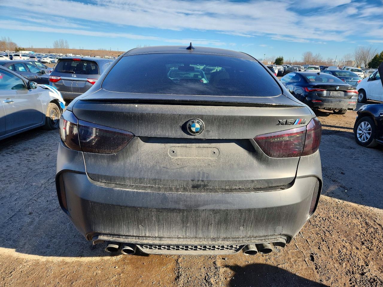 2016 BMW X6 M photo 6