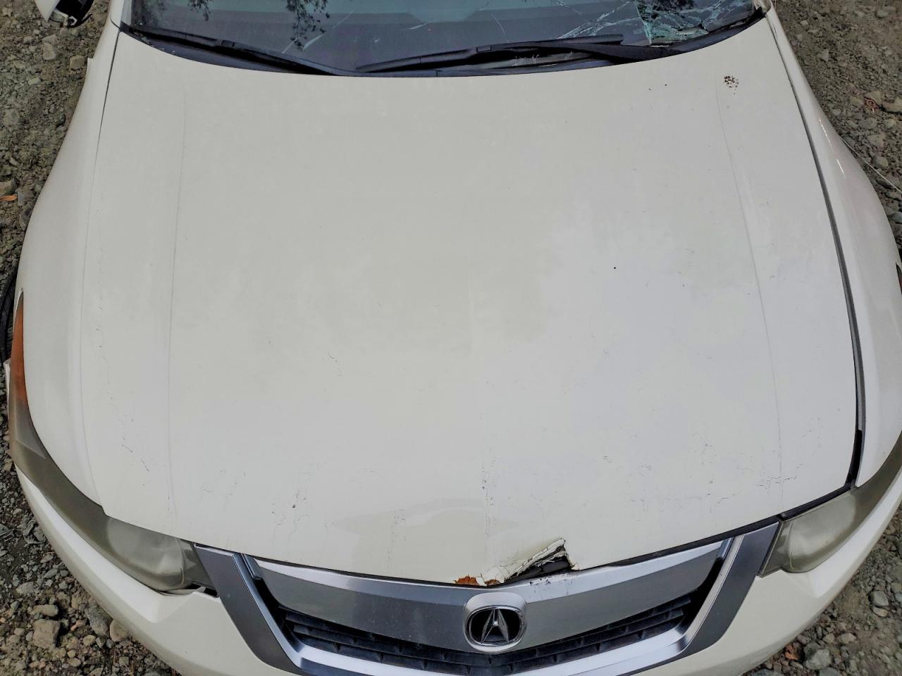 2010 ACURA TSX photo 31